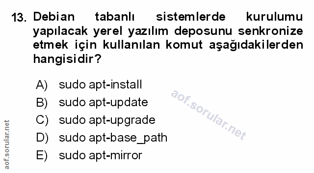 Soru 13