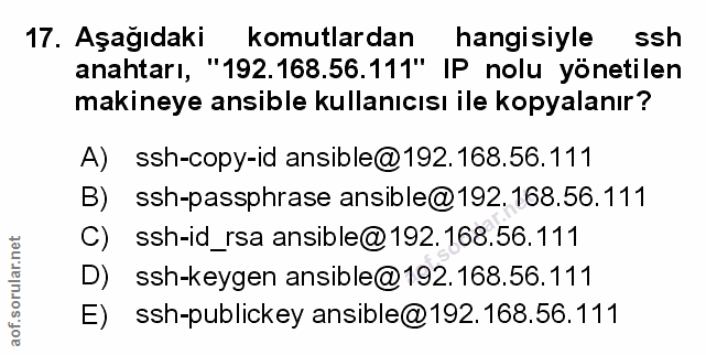 Soru 17