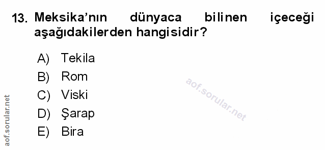Soru 13