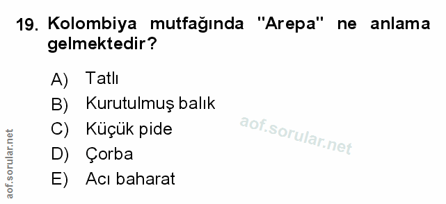 Soru 19