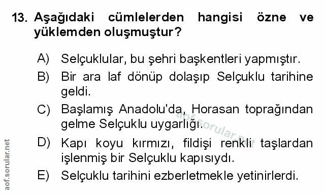 Soru 13