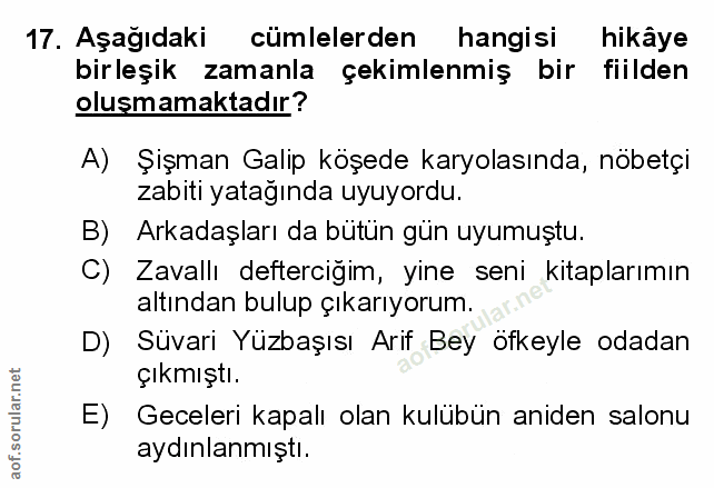Soru 17