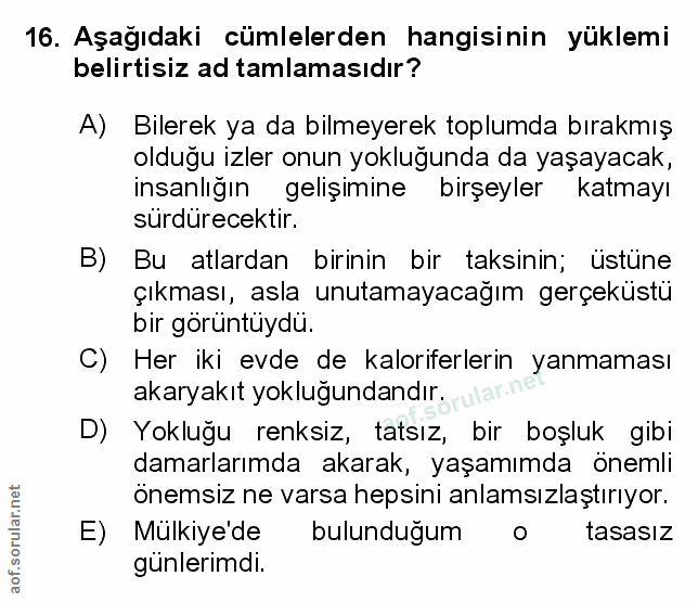 Soru 16