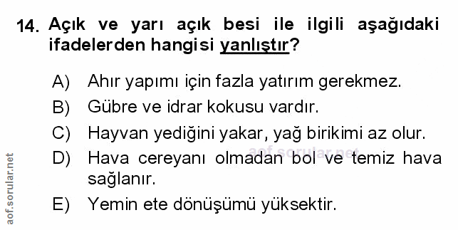 Soru 14