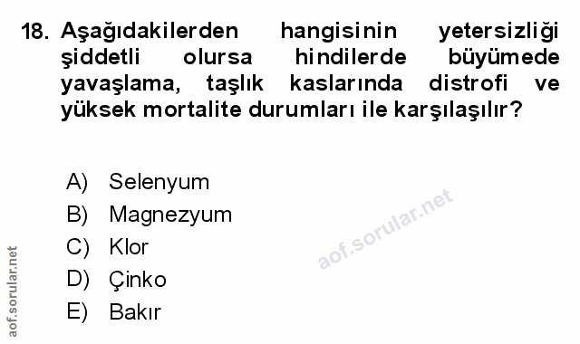 Soru 18