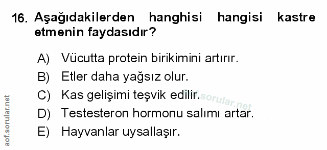 Soru 16