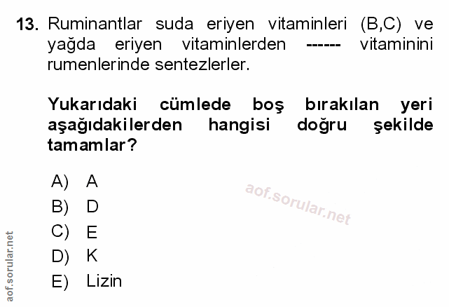 Soru 13