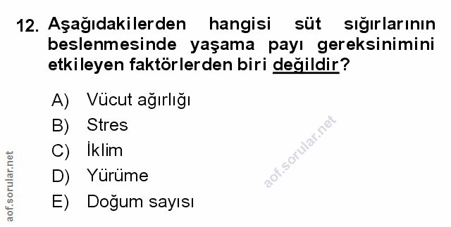 Soru 12