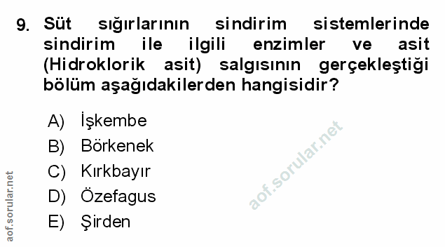 Soru 9