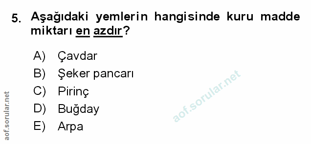 Soru 5