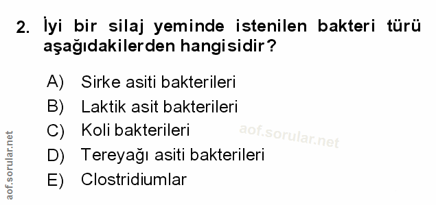 Soru 2