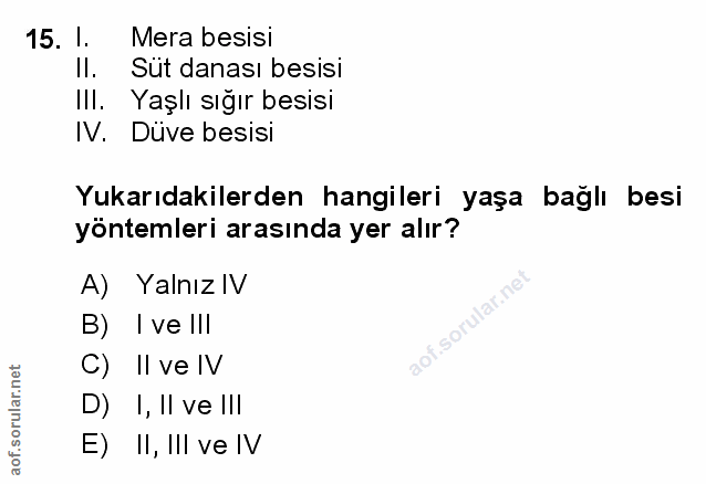 Soru 15