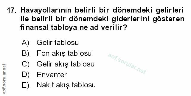 Soru 17