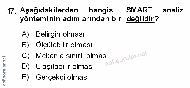 Soru 17