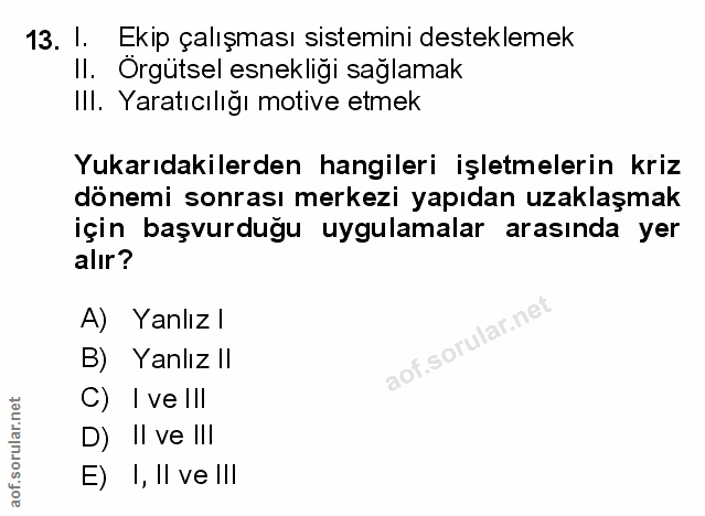 Soru 13