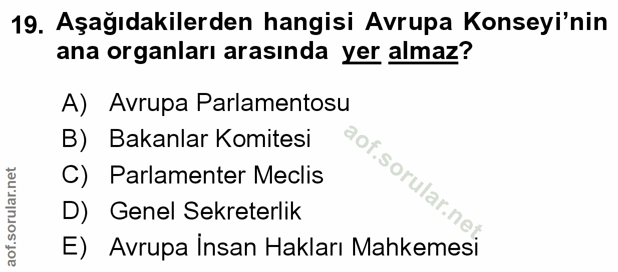 Soru 19