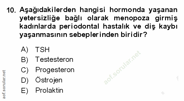Soru 10