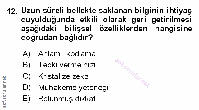 Soru 12