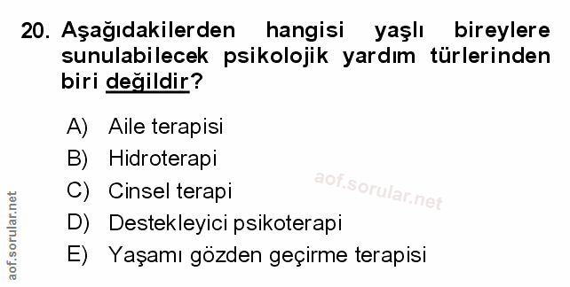 Soru 20