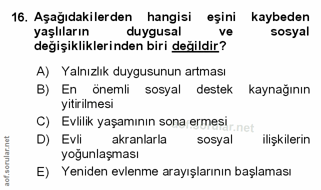 Soru 16