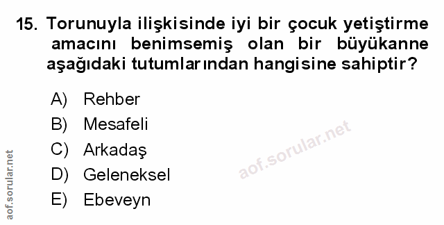 Soru 15