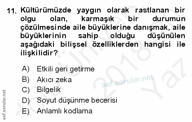 Soru 11
