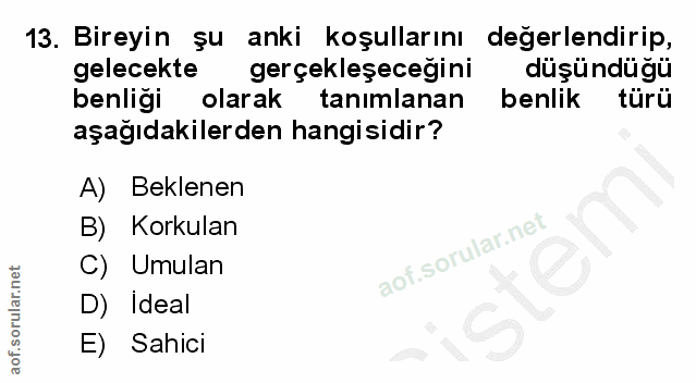 Soru 13