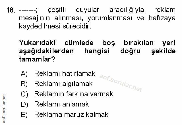 Soru 18