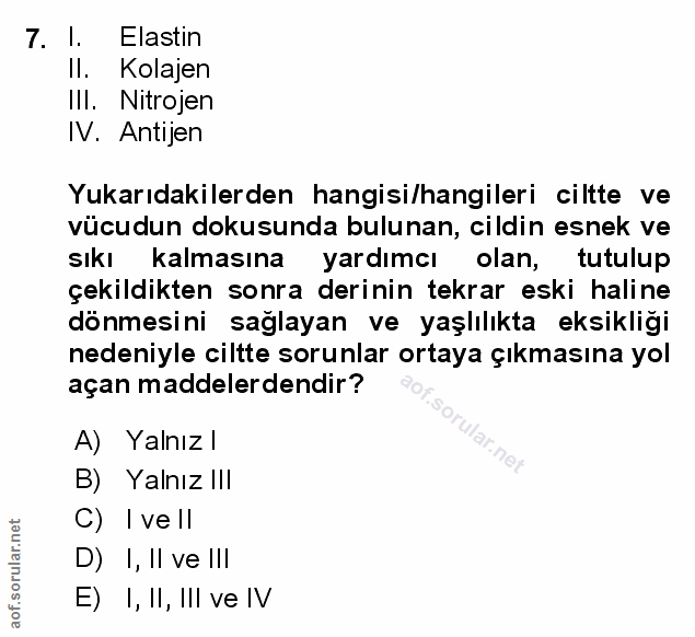 Soru 7