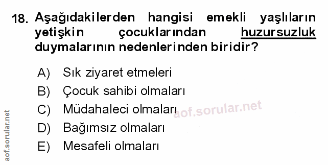 Soru 18