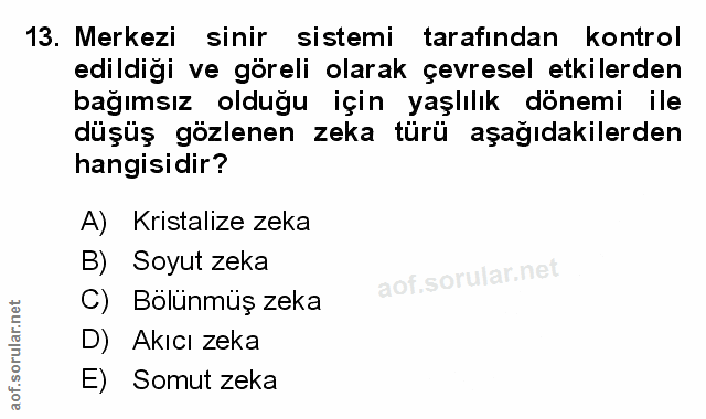 Soru 13