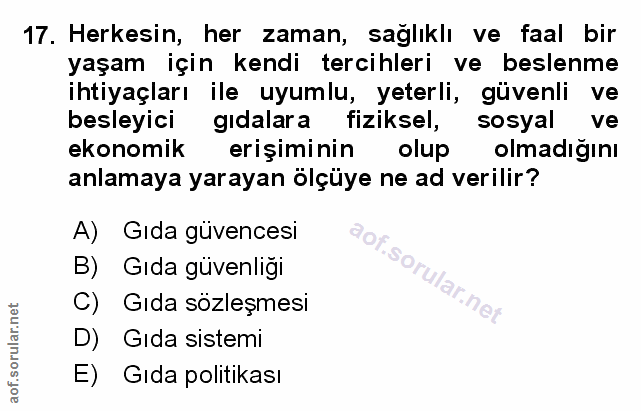 Soru 17