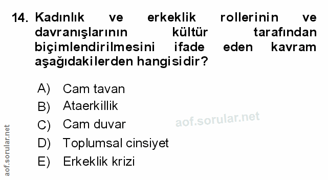Soru 14