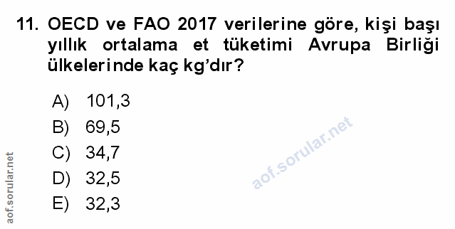 Soru 11
