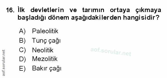 Soru 16