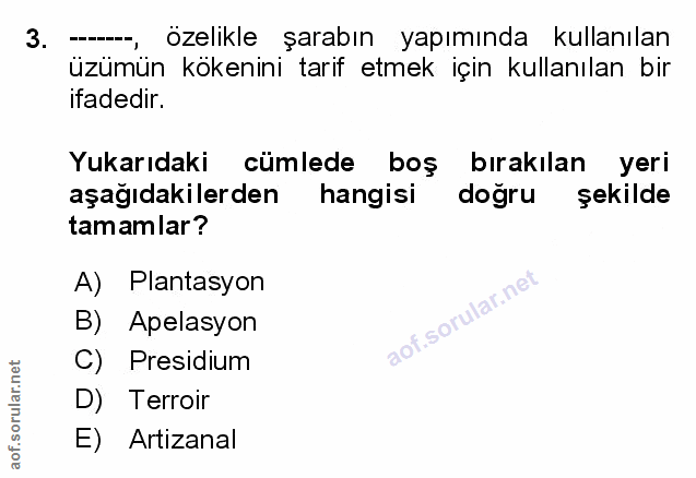 Soru 3