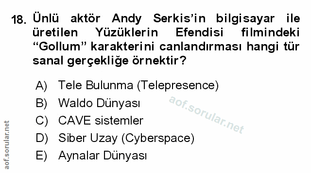 Soru 18