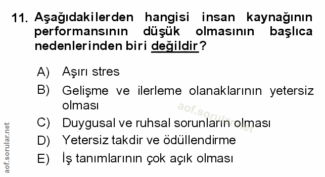 Soru 11