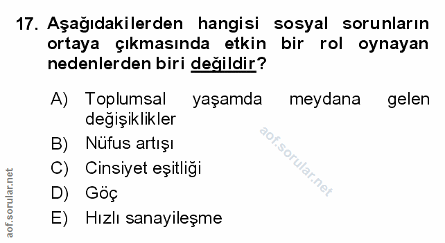 Soru 17