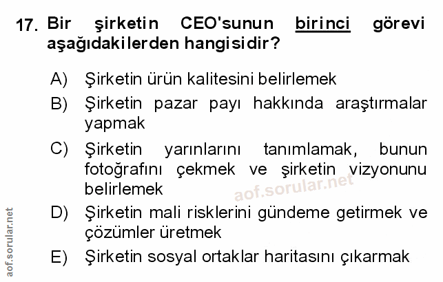 Soru 17