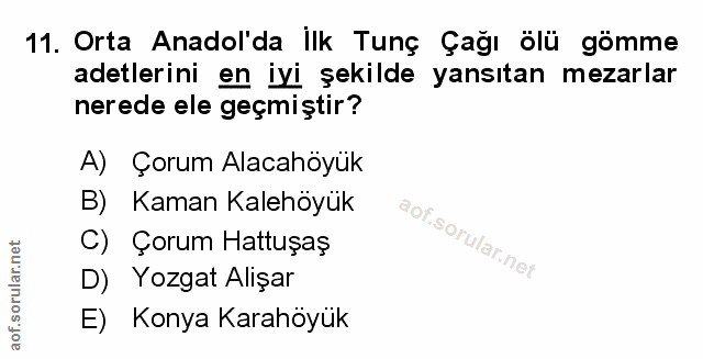 Soru 11