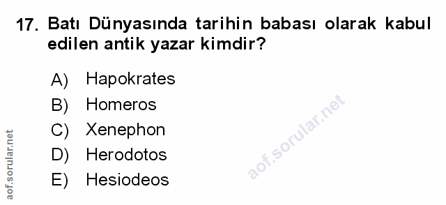 Soru 17