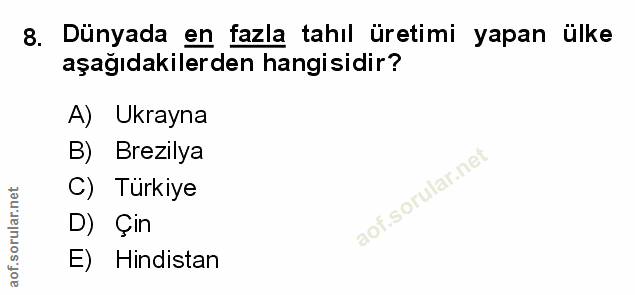 Soru 8