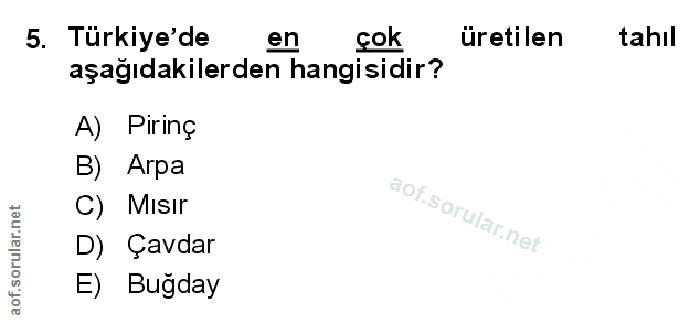 Soru 5