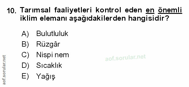 Soru 10