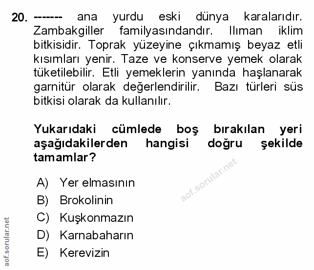Soru 20