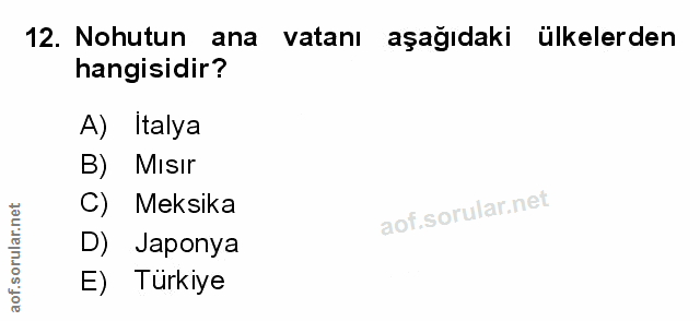 Soru 12