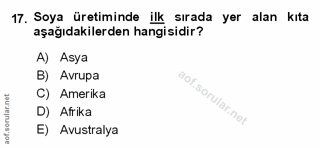 Soru 17