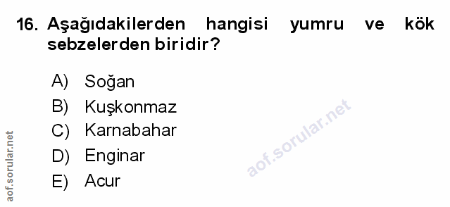 Soru 16