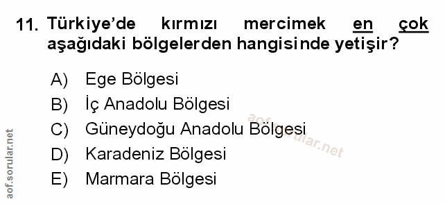 Soru 11